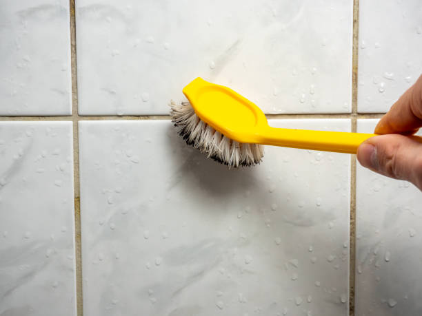 Best Fast Mold Removal  in San Anselmo, CA