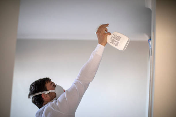 Best Certified Mold Removal  in San Anselmo, CA