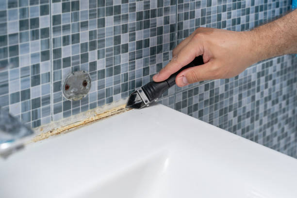 San Anselmo, CA Mold Removal Company